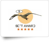 Soft Award