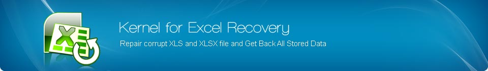 Excel Recovery Banner